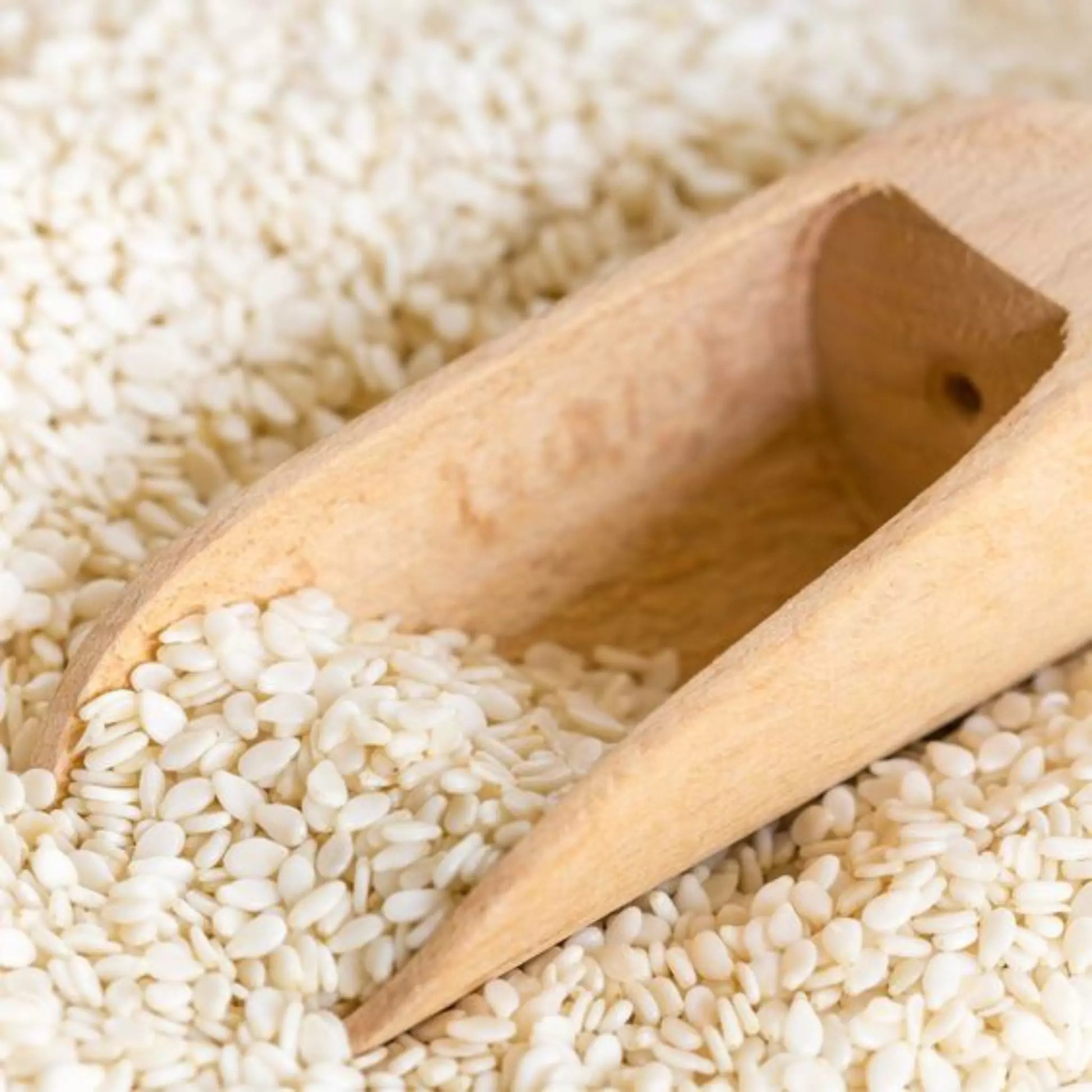 Sisum Seeds
